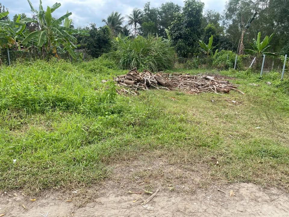 Đất nền Diên Xuân 350m² giá 1.95 tỷ - Tiềm năng đầu tư lớn!