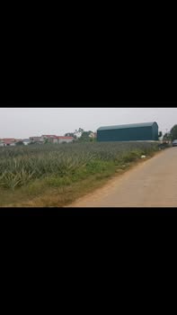 Đất nền Yên Tâm, Yên Định 120m² - Cơ hội đầu tư sinh lời hấp dẫn!