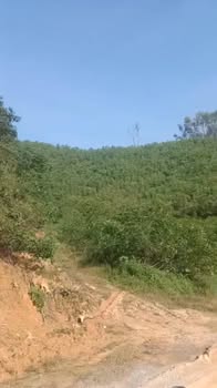 Đất vườn và đất ở Nghĩa Hành 24000m² giá 2.2 tỷ - Đường thông thoáng, tiềm năng phát triển!