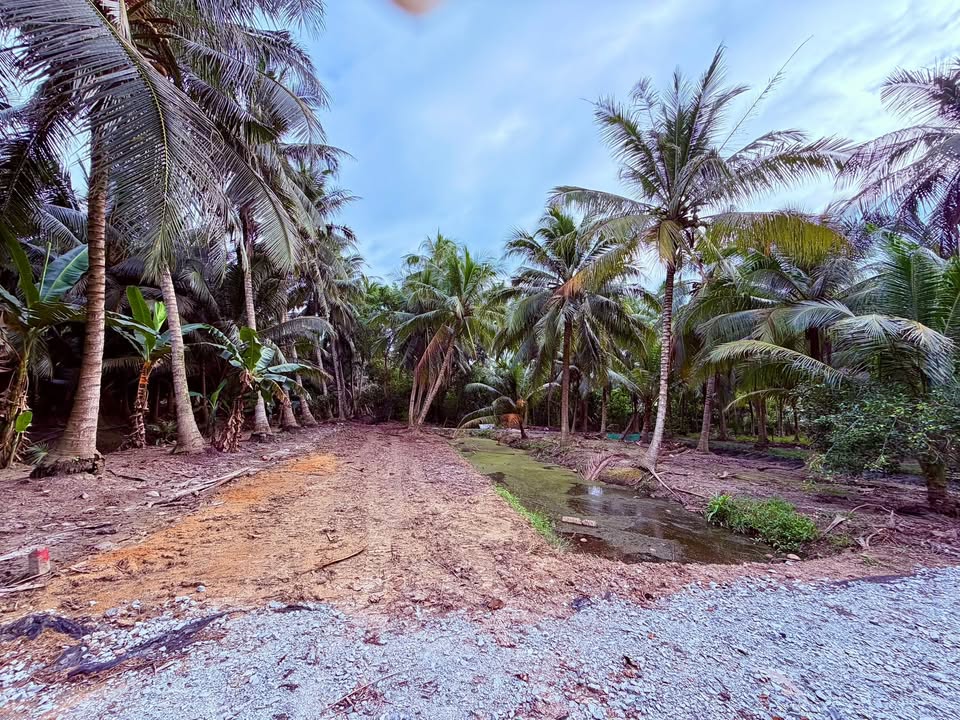 Đất nền Tiểu Cần 330m² giá 300 triệu - Pháp lý rõ ràng, tiện ích đầy đủ!