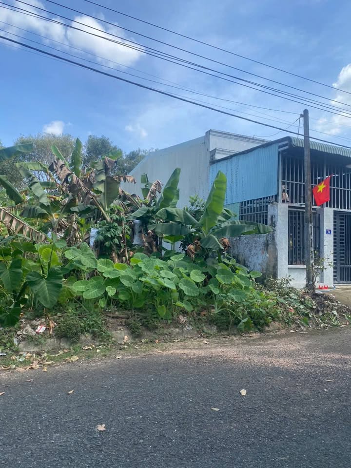 Đất thổ cư 120m² Tiến Thành, Đồng Xoài chỉ 1.29 tỷ - Sổ hồng chính chủ!