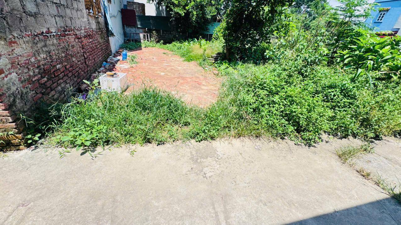 Đất nền Trường Thịnh 50m² chỉ 1 tỷ - Tiện ích đầy đủ, sẵn sàng đầu tư!