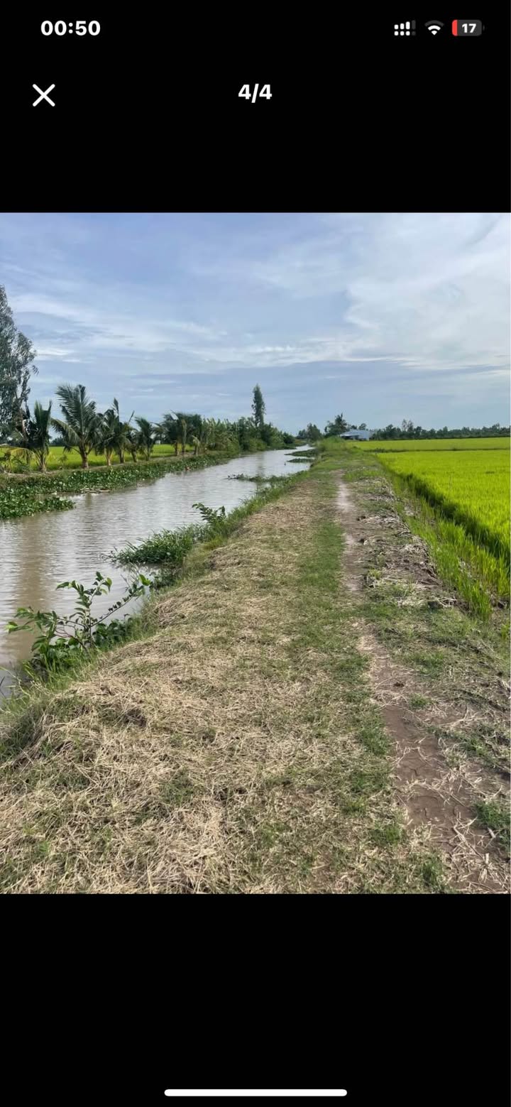 Đất nông nghiệp 2975m² xã Đông Thuận, huyện Thới Lai - Giá chỉ 660 triệu!