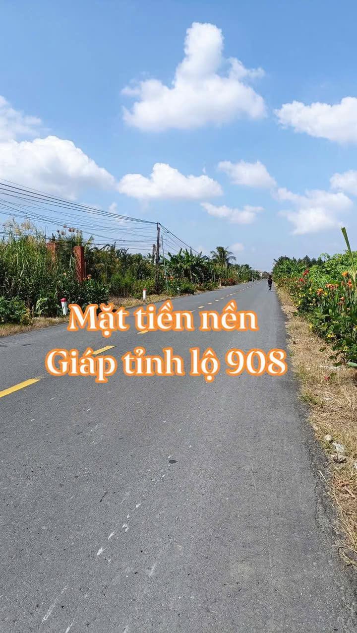 Đất thổ cư 300m² mặt tiền tỉnh lộ 908, xã Tân Lược, Vĩnh Long - Giá chỉ 500 triệu!