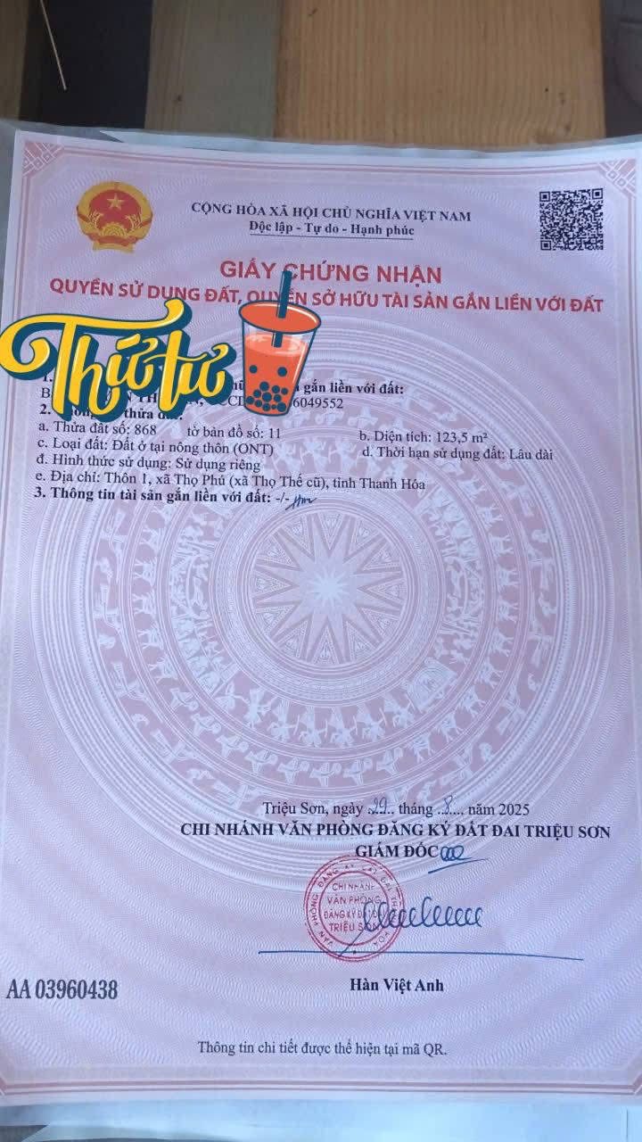 Đất nền Thọ Thế Triệu Sơn 120m² giá chỉ 300 triệu - Cần tiền bán gấp!