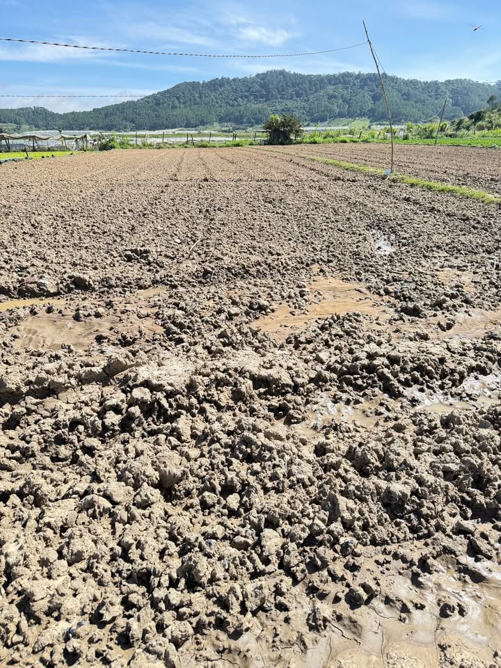 Đất nền Ka Đơn, Đơn Dương 10.800m² chỉ 810 triệu - Cơ hội đầu tư tuyệt vời!