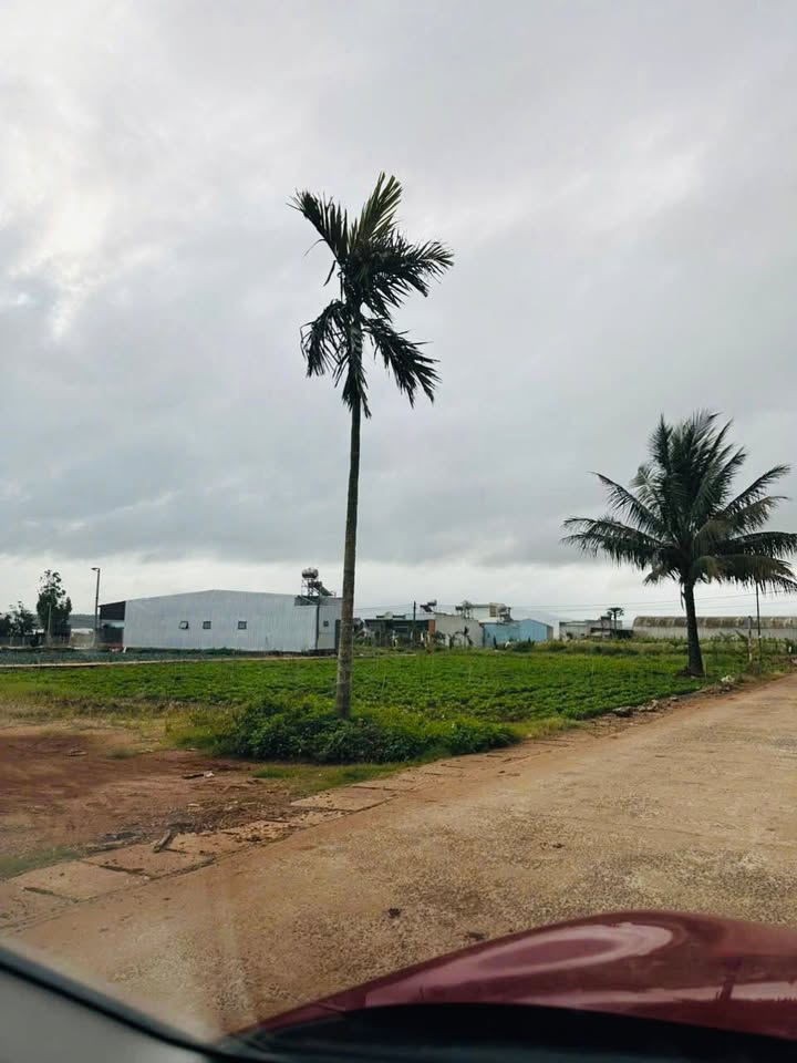 Đất nền Đơn Dương 250m² giá 1.8 tỷ - Pháp lý sổ đỏ, sang tên nhanh chóng!