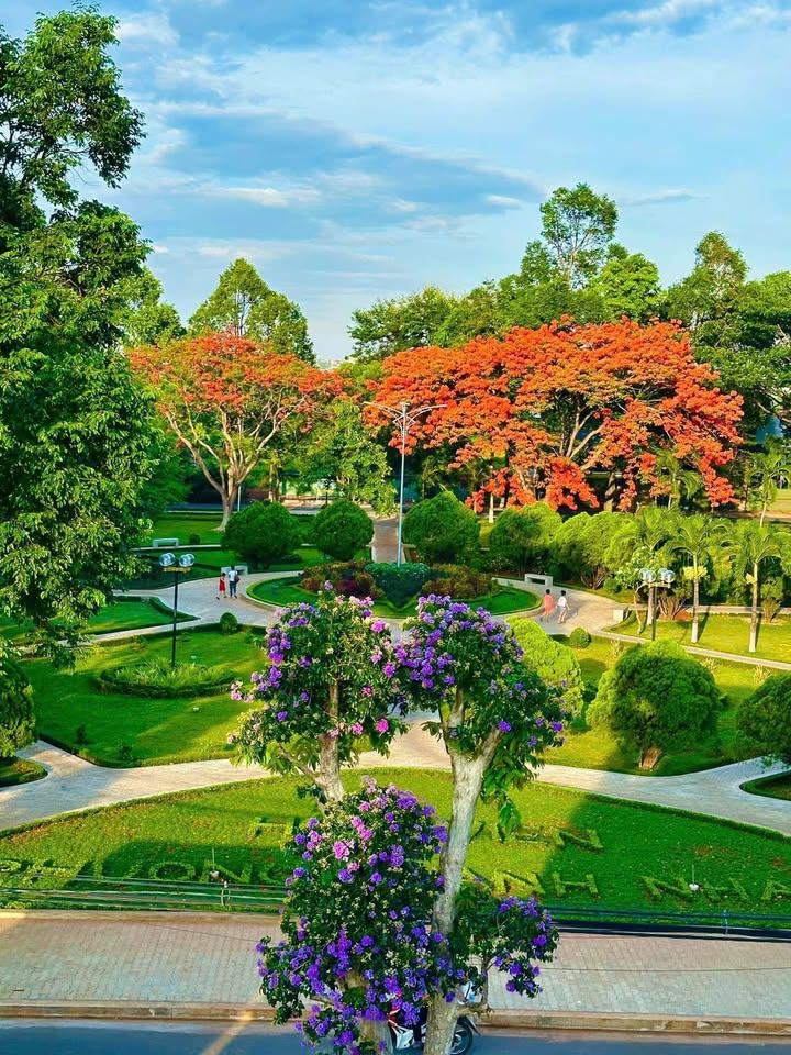 Nhà 3 tầng mặt tiền Nguyễn Cơ Thạch 228m² giá 8 tỷ - Hàng hiếm, đầu tư sinh lời!