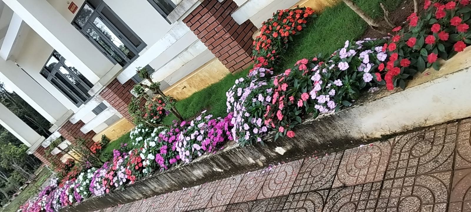 Đất thổ cư 500m² tại phường Tân Tiến, Gia Nghĩa - Giá thỏa thuận, chính chủ bán gấp!