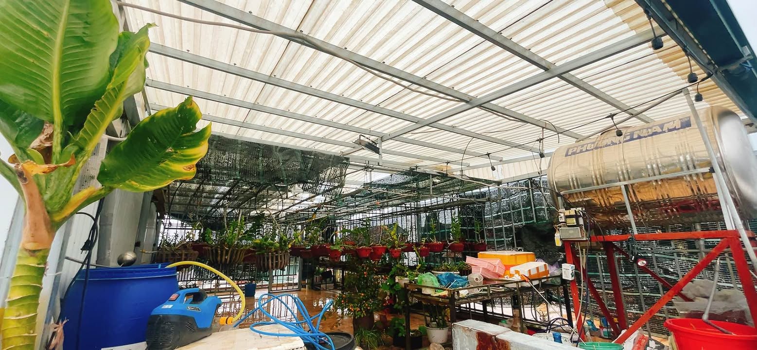 Nhà phố 4 tầng hẻm ô tô lớn Phan Đình Phùng 64m² giá 6.8 tỷ - Khu trung tâm Đà Lạt