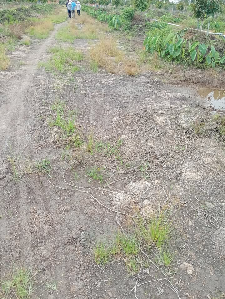 Đất thổ cư 25.000m² tại Thanh Mỹ, Tân Phước - Giá chỉ 11.25 tỷ VND!