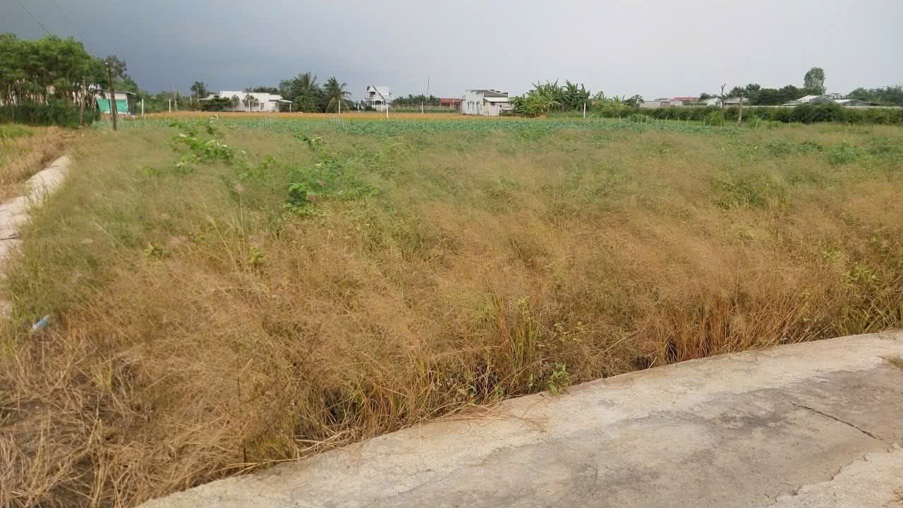 Đất nền 156m² tại Ấp 6, Tân Tây, Gò Công Đông - Giá 230 triệu, pháp lý rõ ràng!