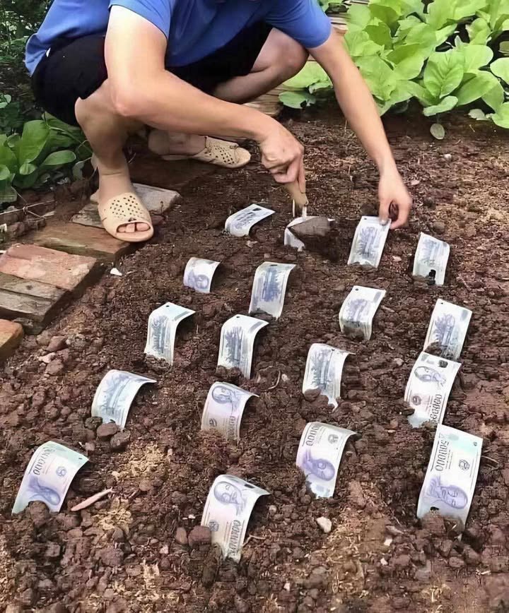 Đất mặt đường Lưu Kiếm, Hải Phòng 200m² giá 2 tỷ - Cơ hội kinh doanh hiếm có!