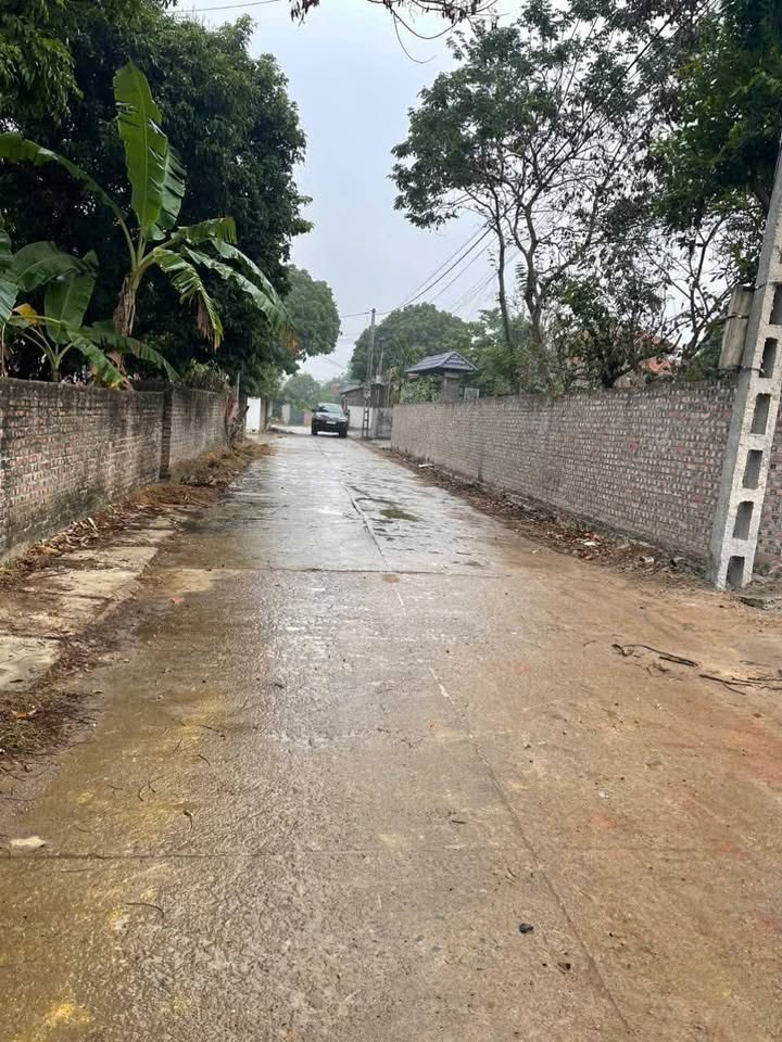 Đất 2 mặt tiền tại Trung Mỹ, Bình Xuyên 100m² giá 1.5 tỷ - Vị trí đắc địa, tiện ích đầy đủ!