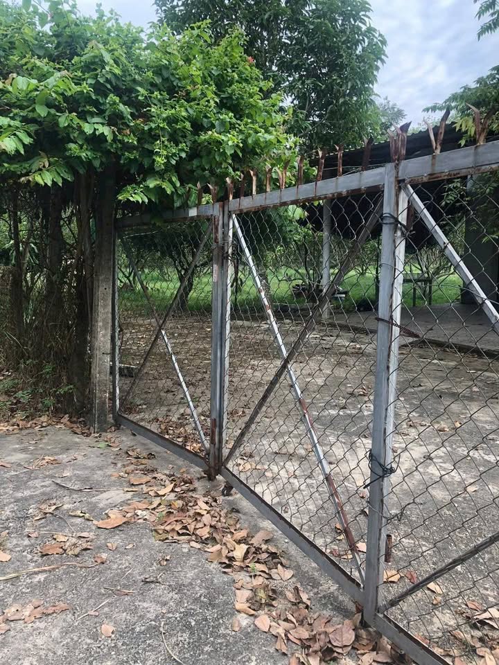 Đất mặt tiền đường Đỗ Đăng Tuyển, Củ Chi 3362m² - Giá thương lượng hấp dẫn!