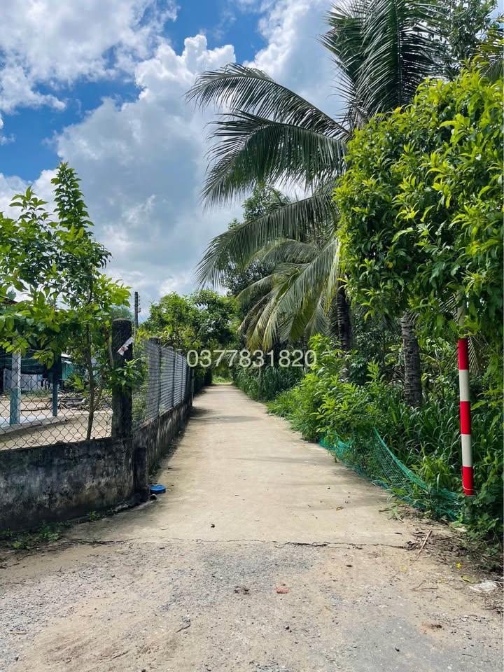 Đất mặt tiền đường gần chợ Phường 9, Trà Vinh 100m² - Cơ hội đầu tư hấp dẫn!