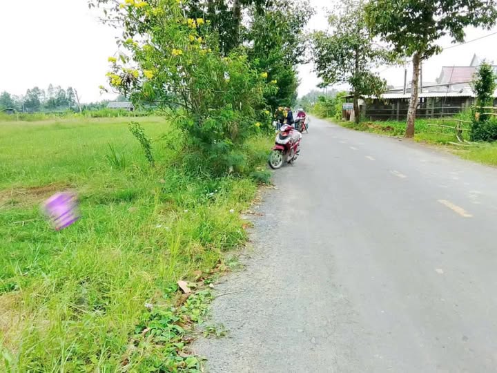 Đất nền mặt tiền HL 21, xã Ngũ Lạc, huyện Duyên Hải, 2860m² giá 3.74 tỷ - Cơ hội đầu tư vàng!