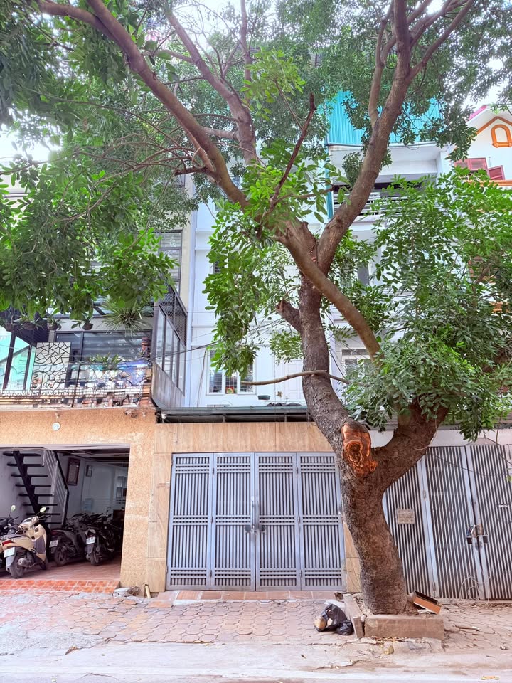 Nhà phố Nguyễn Khuyến 100m² 5 tầng giá chỉ 26.8 tỷ - Mặt phố chính hiếm có!