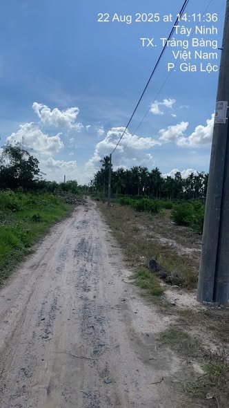 Đất nền Lộc Khê Tây Ninh 669m² giá 1.55 tỷ - Đầu tư sinh lời ngay!