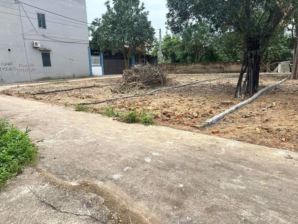 Đất nền Hiệp Hòa Bắc Giang 128m² giá 600 triệu - Đầu tư sinh lời ngay!