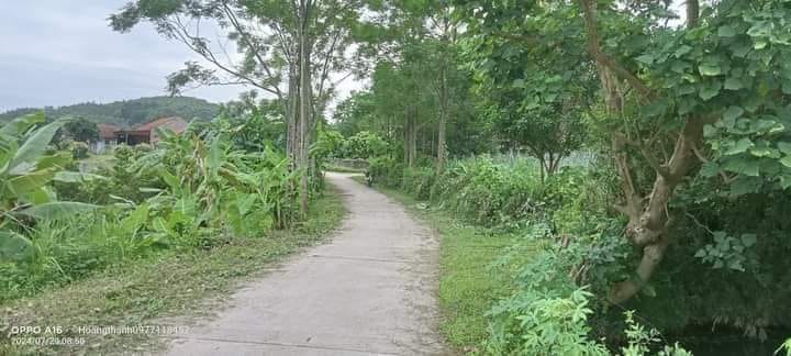 Đất thổ cư 500m² tại Đồng Vương, Yên Thế chỉ 500 triệu - Cơ hội đầu tư hấp dẫn!