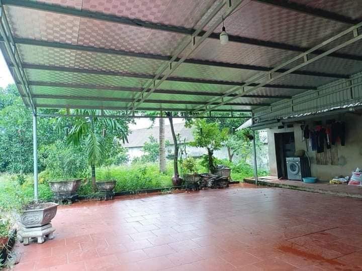 Mảnh vườn nghỉ dưỡng 1234m² tại Đồng Kỳ chỉ 1 tỷ - Đến ở ngay!