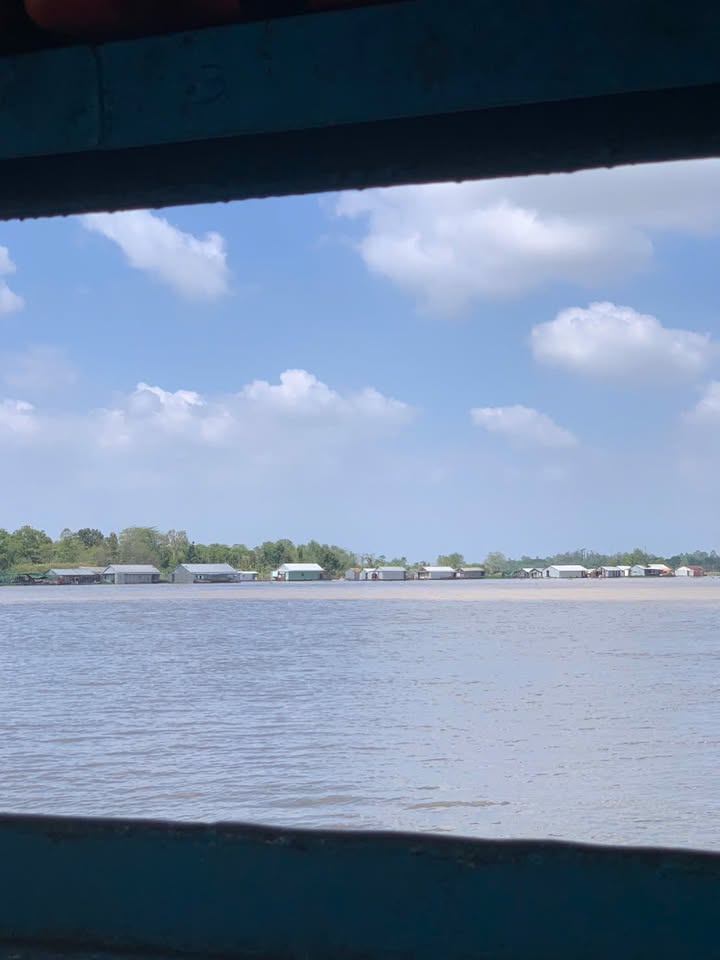 Đất nông nghiệp Hội An, Chợ Mới, An Giang 50.000m² - Mặt tiền rộng 135m, cơ hội đầu tư hấp dẫn!