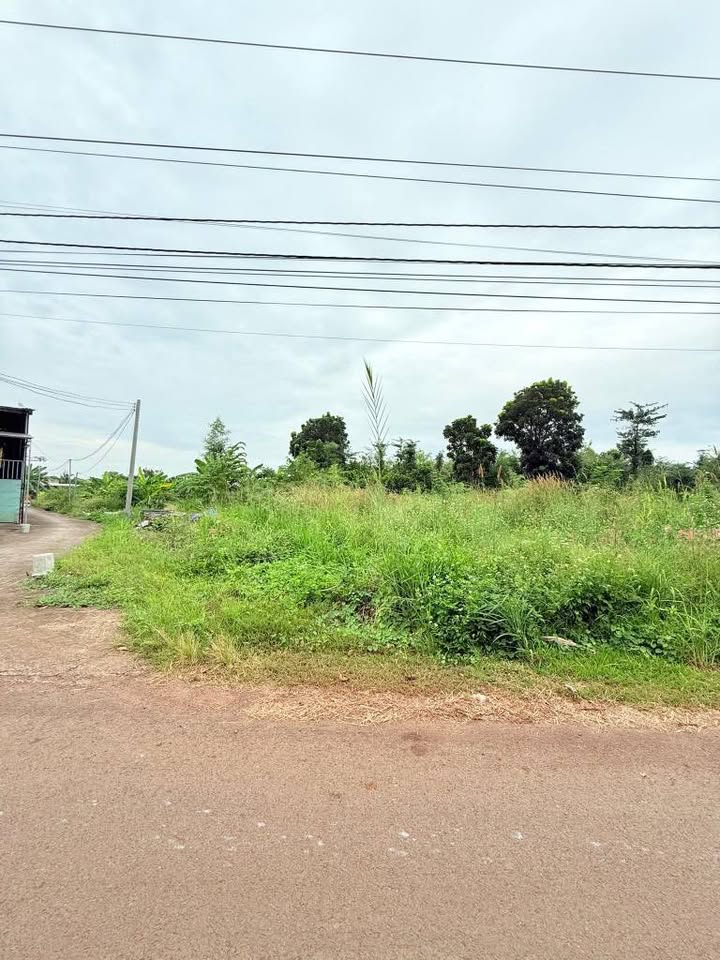 Đất nền Bảo Vinh, Long Khánh, 115m² giá 1.25 tỷ - Vị trí kinh doanh đắc địa!