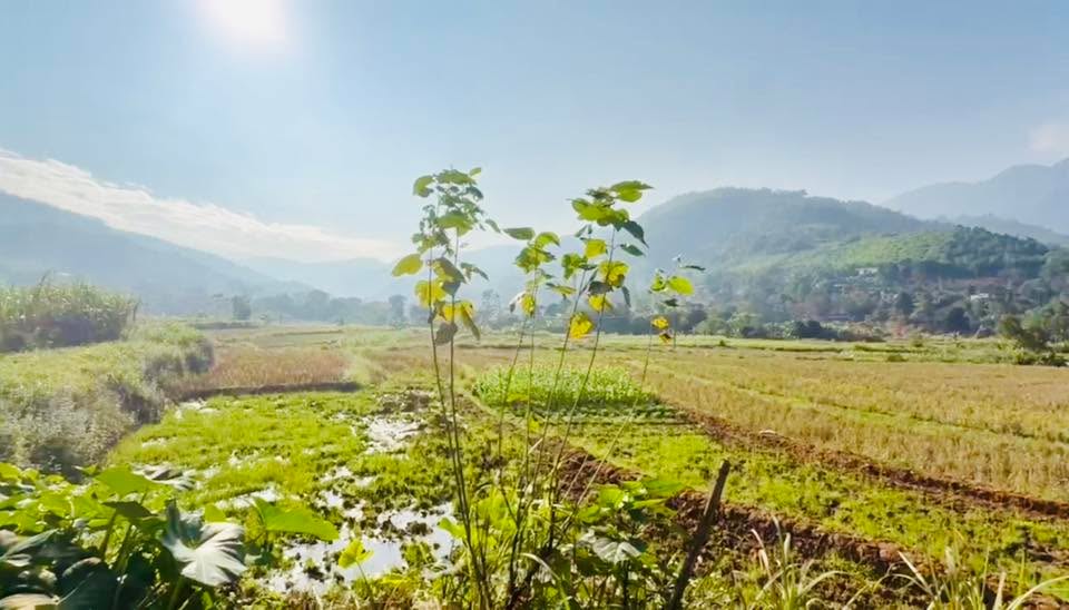 Đất nghỉ dưỡng Vĩnh Đồng Kim Bôi 600m² giá 1.2 tỷ - View toàn cảnh tuyệt đẹp!