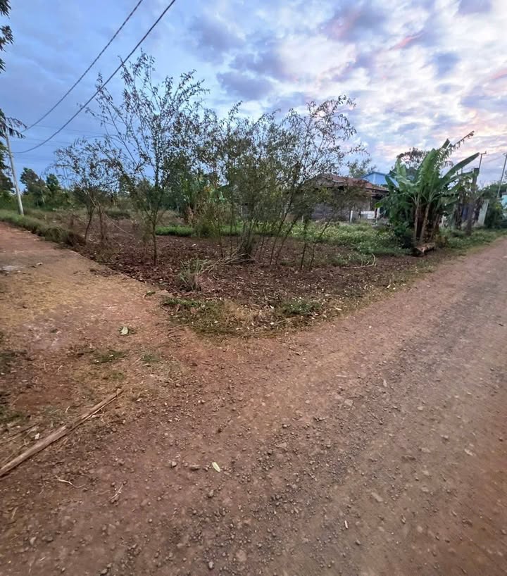 Đất thổ cư 252m² xã Cuôr Đăng giá 800 triệu - Đầu tư sinh lời ngay!