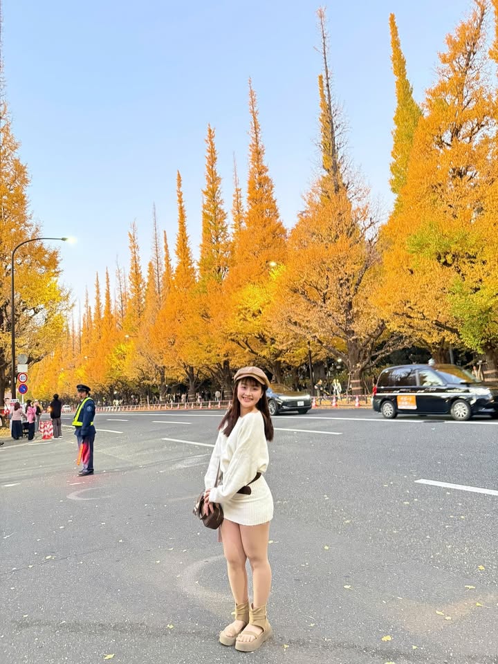 Đất nền Lộc Hiệp 759m² giá 2 tỷ - Đầu tư sinh lời ngay!