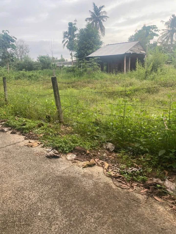 Đất nền 3600m² Ngọc Định - Giá chỉ 750 triệu - Cơ hội đầu tư tốt!