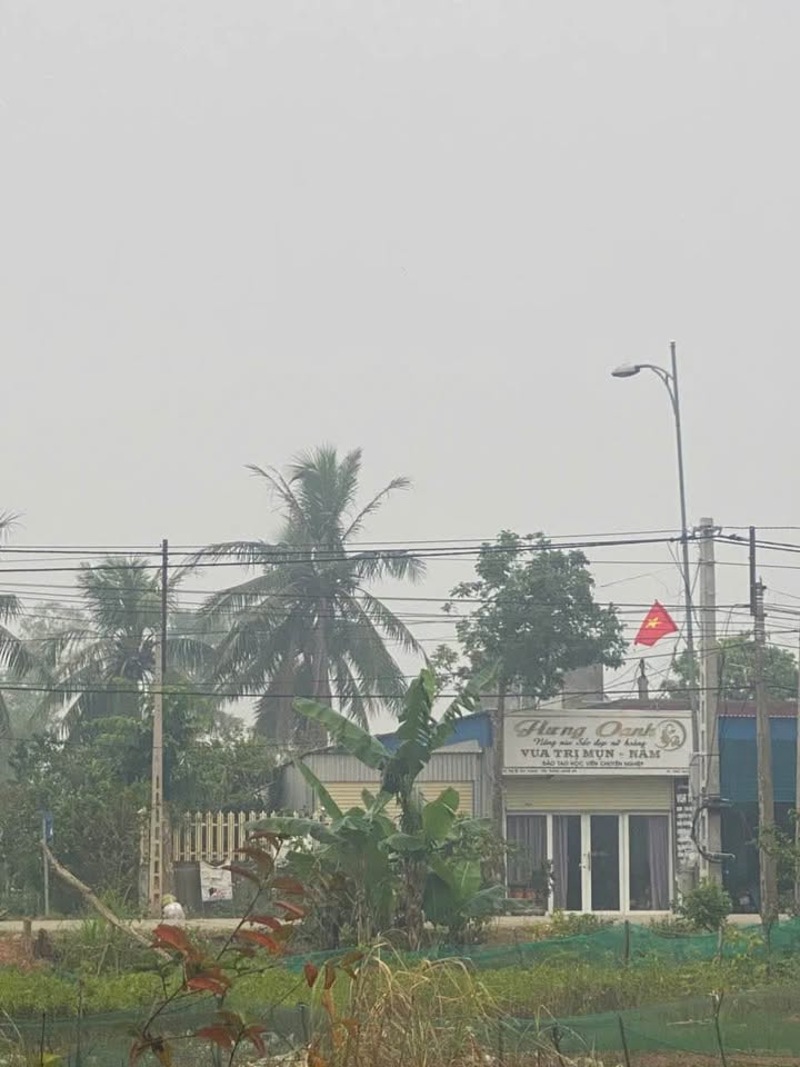 Đất nền Tân Thành, Yên Thành 184m² giá 10 tỷ - Đầu tư sinh lời ngay!