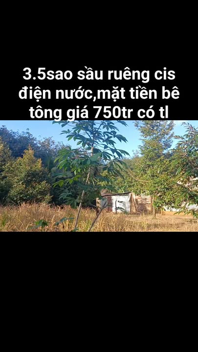 Farm Nghĩa Bình 3500m² giá 750 triệu - Mặt tiền bê tông, sẵn sàng đầu tư!