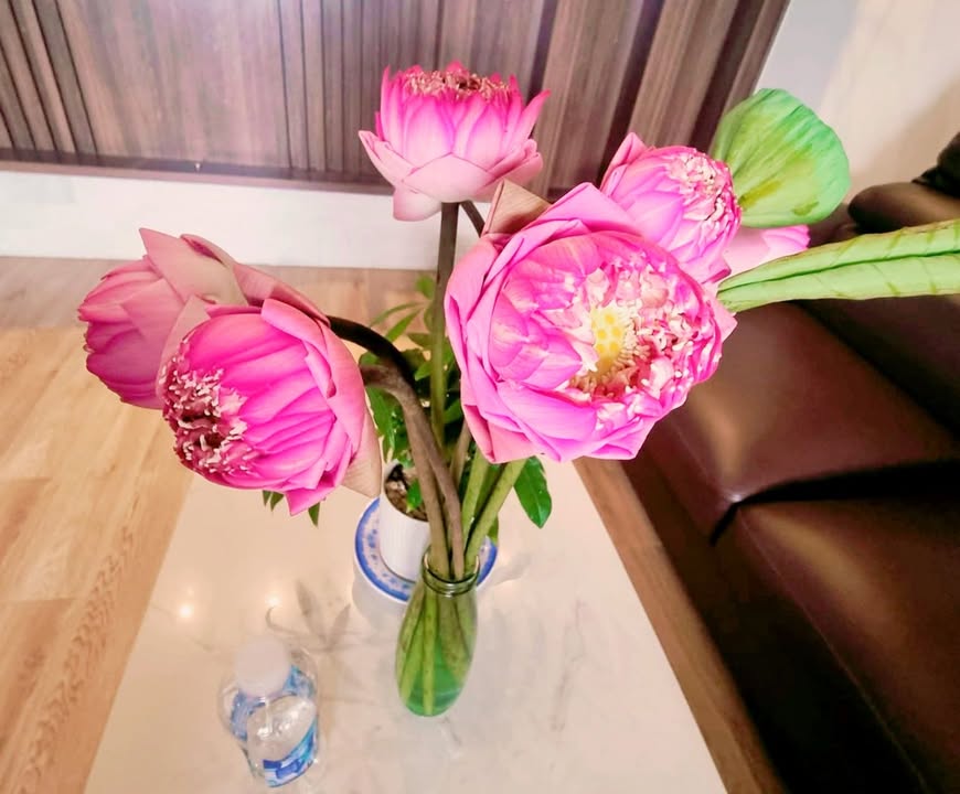 Đất nền An Ngãi, Long Điền 100m² giá chỉ 180 triệu - Cơ hội đầu tư tuyệt vời!