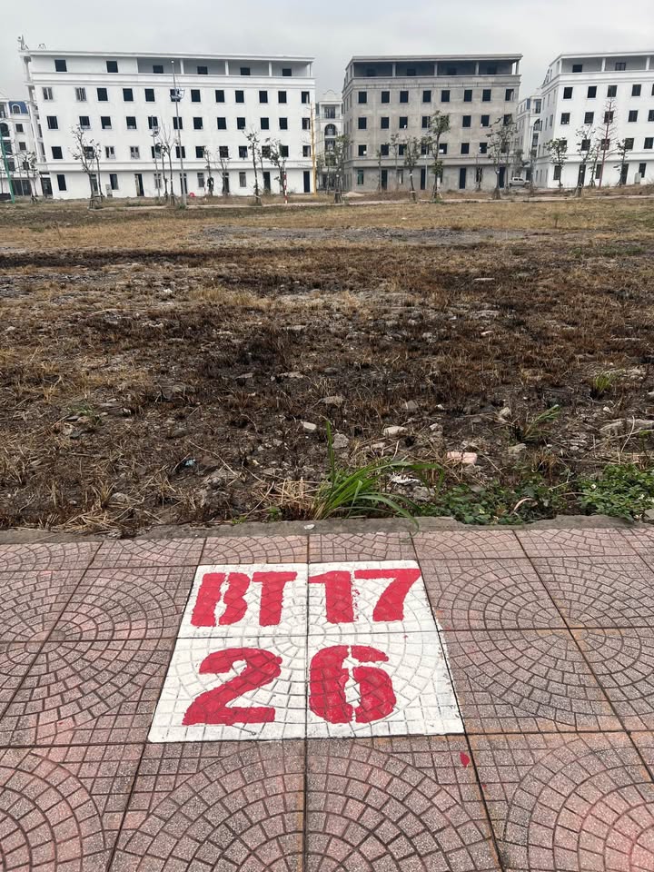 Đất biệt thự Cẩm Bình Cẩm Phả 320m² - Cơ hội đầu tư sinh lời!