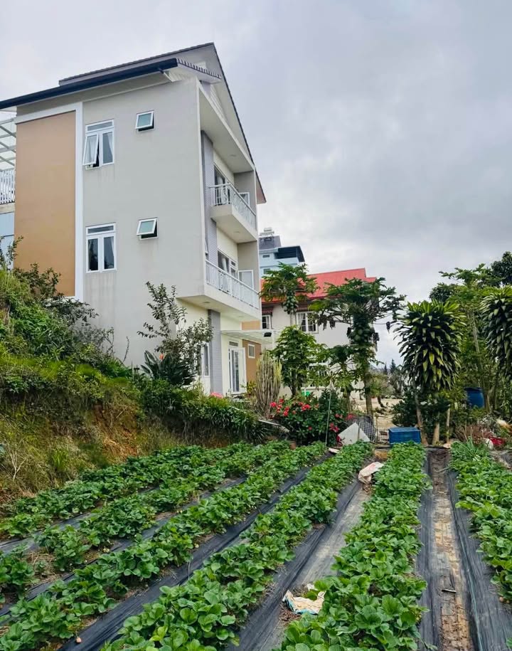 Đất nền Phường 7, Đà Lạt 611m² giá 14.9 tỷ - View núi Langbiang tuyệt đẹp!