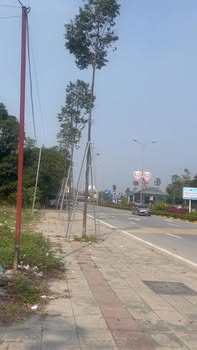 Đất nền liền kề Đường Hồ Chí Minh, 256m² - Cơ hội đầu tư hấp dẫn!