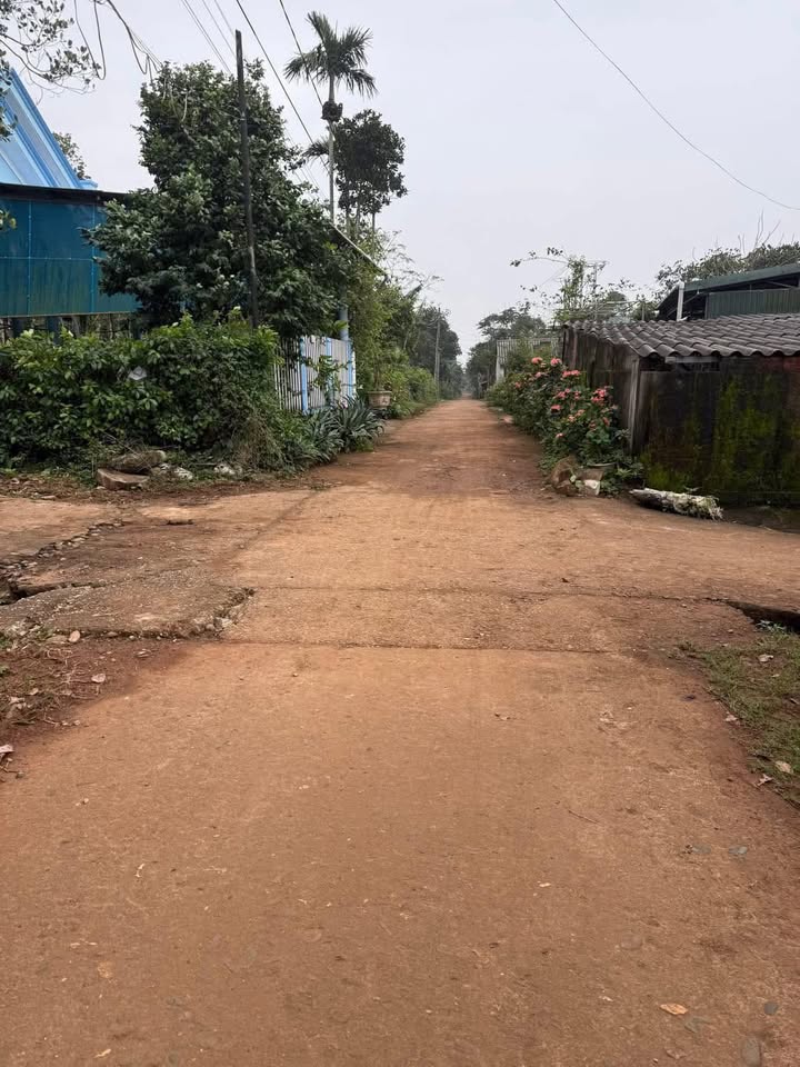 Đất nền Cửa Tùng - Quảng Trị 203m² giá thỏa thuận - Cơ hội đầu tư tuyệt vời!