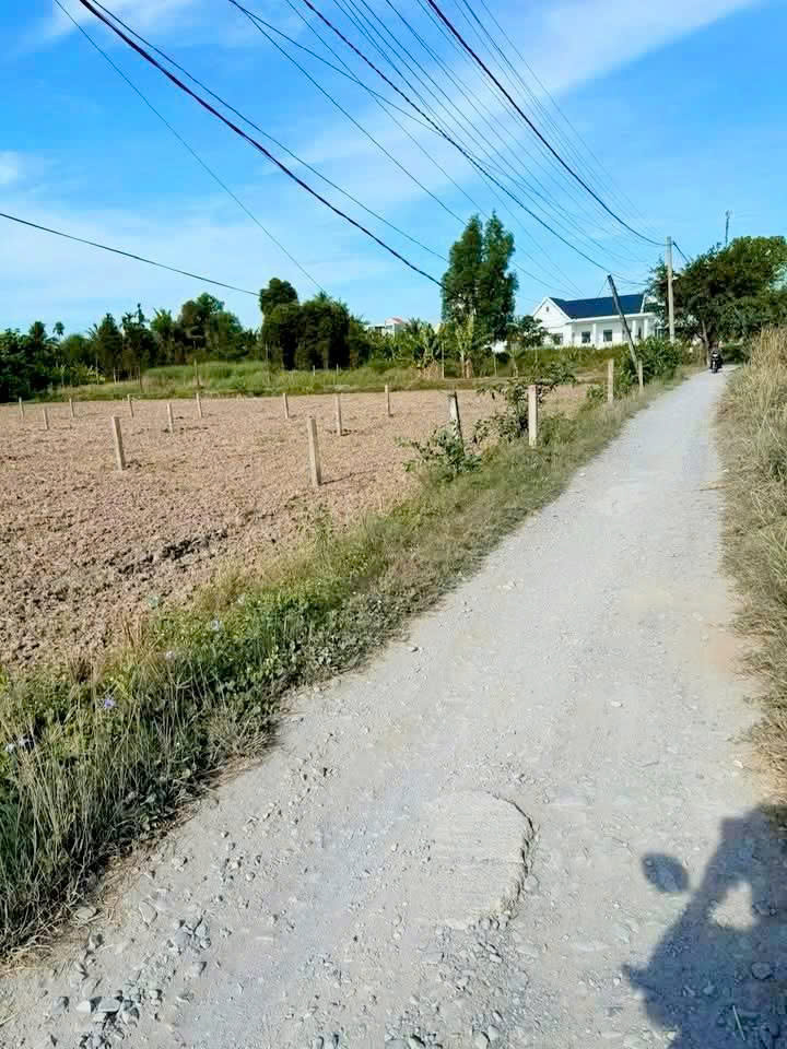 Đất thổ cư 203m² và đất lúa 1.045m² tại Bến Lức - Giá chỉ 4 tỷ, thương lượng tốt!