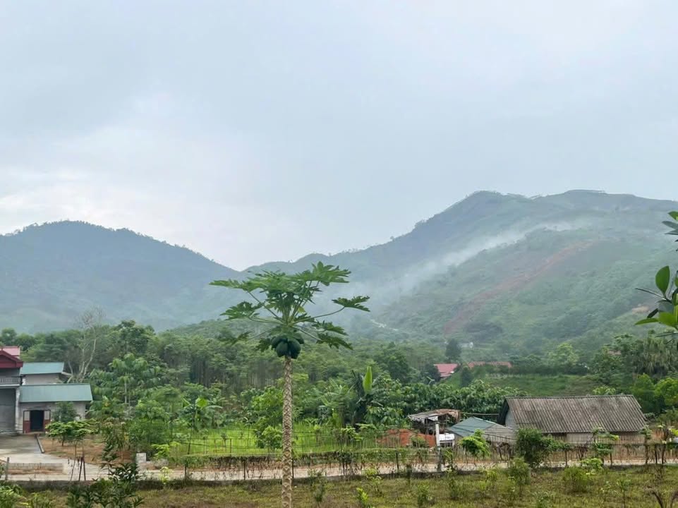 Farm nghỉ dưỡng tại Yên Lương, Thanh Sơn 2067m² giá 1.6 tỷ - Cơ hội đầu tư tuyệt vời!