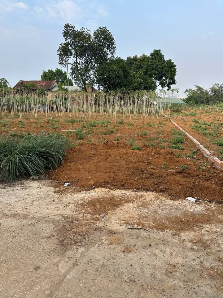 Đất thổ cư 118.7m² tại xã Hy Cương, Việt Trì - Giá tốt, tiềm năng phát triển!