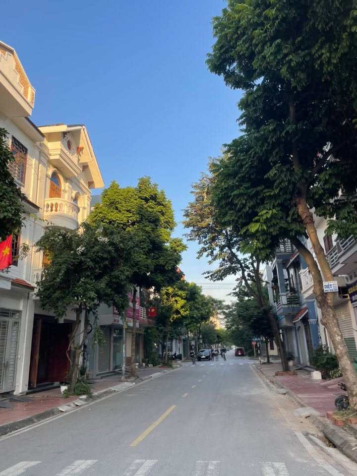 Lô đất mặt phố Ngô Bệ - Tân Hưng, Hải Phòng, 80m² giá 65 triệu/m² - Cơ hội đầu tư đắc địa!