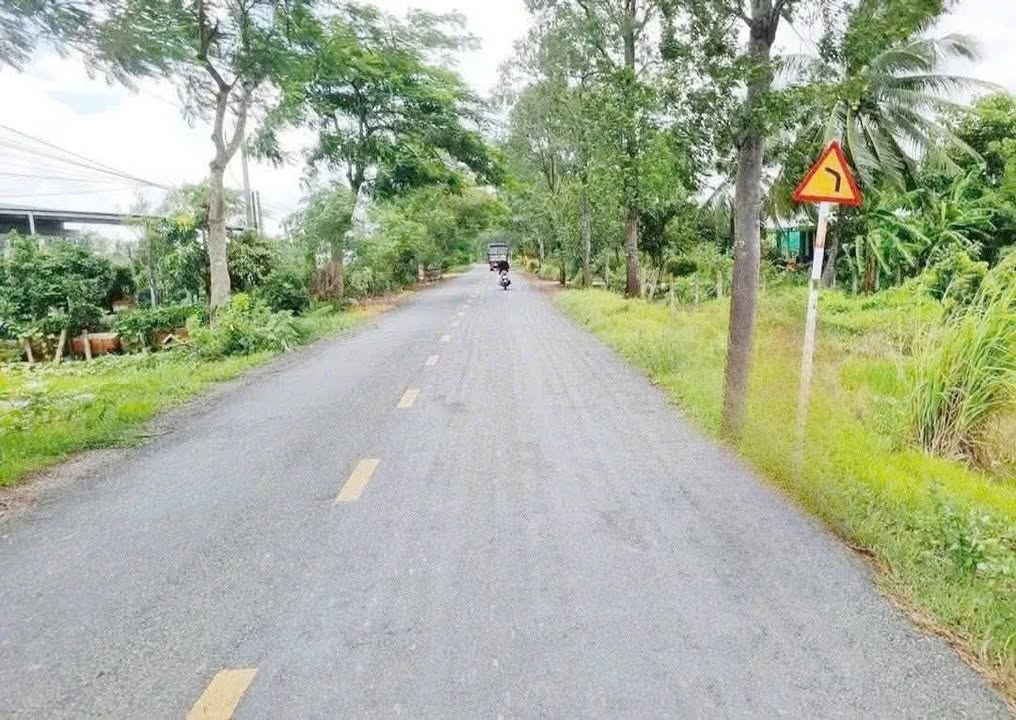 Đất nền 4328m² mặt tiền đường Nguyễn Thông, Châu Thành, Long An - Giá 1.2 tỷ, cơ hội đầu tư hiếm có!