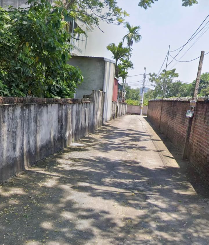 Đất nền chính chủ tại phường Tùng Thiện, Sơn Tây, 50m² chỉ 1.1 tỷ - Cơ hội đầu tư tuyệt vời!