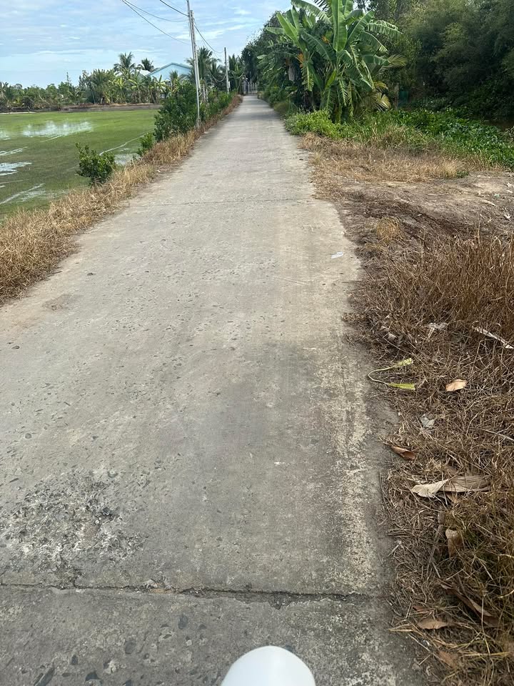 Đất CLN 1000m² Phường Mỹ Phước Tây giá chỉ 750 triệu - Cơ hội đầu tư tuyệt vời!