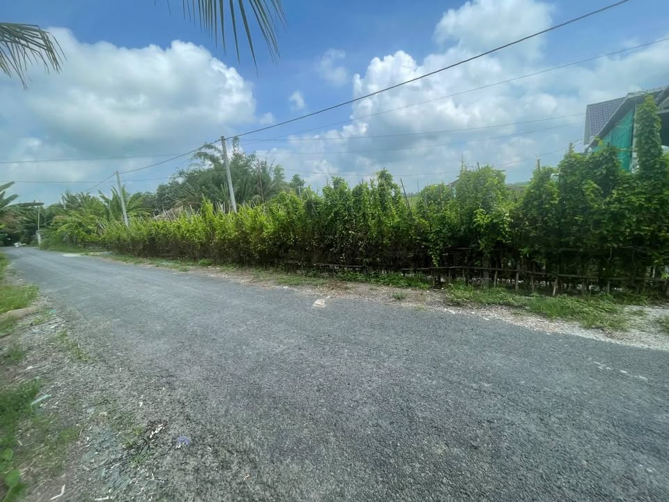 Bán 63 Công Ruộng tại Xã Định Mỹ, Thoại Sơn, An Giang - Giá chỉ 200 triệu/công!