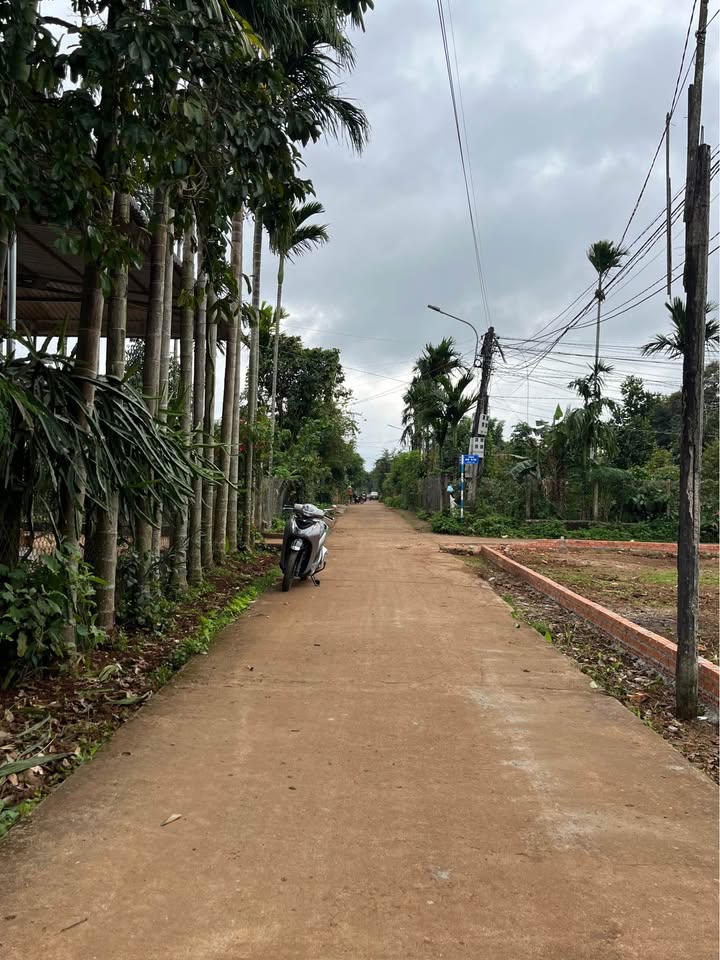 Đất thổ cư đường N9, phường Tân An, 135m² giá chỉ 1.18 tỷ - Đầu tư sinh lời ngay!