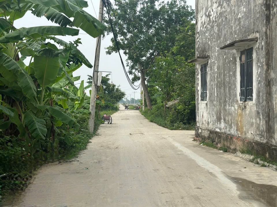 Đất thổ cư tại thôn Văn Quán, xã Thanh Oai, 80m² giá chỉ 7x triệu/m² - Cơ hội đầu tư hấp dẫn!