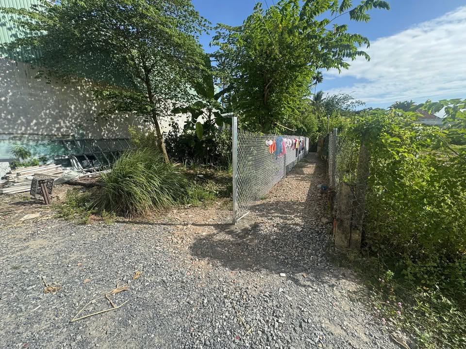 Bán đất nền đường TĐN, P4, TP Vĩnh Long 98,1m² - Giá chỉ 1,25 tỷ thương lượng!